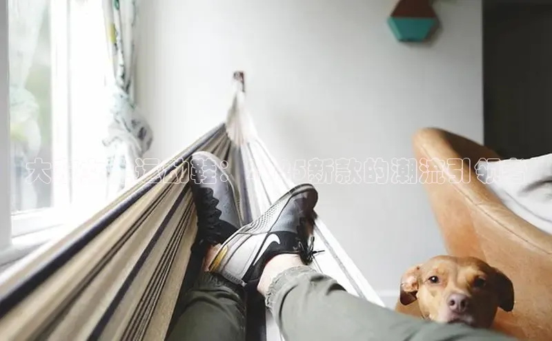 熊猫体育在线
