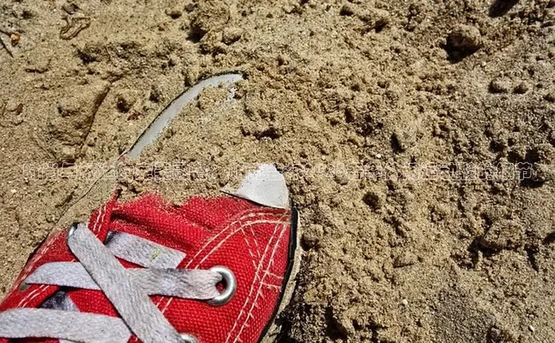 熊猫体育免费直播